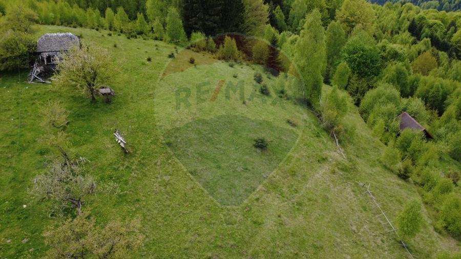 Teren agricol extravilan de 38704 mp, în Șirnea