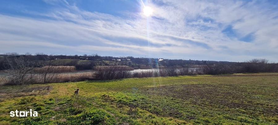 Teren intravilan 4300mp cu deschidere la lac din curte. - 3