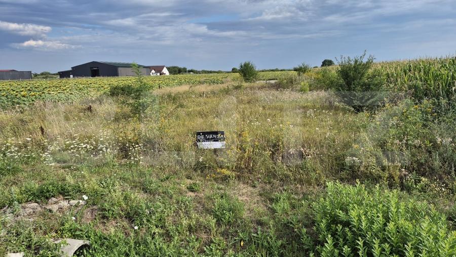 Teren Construcții intravilan de 3600 mp, în Odoreu