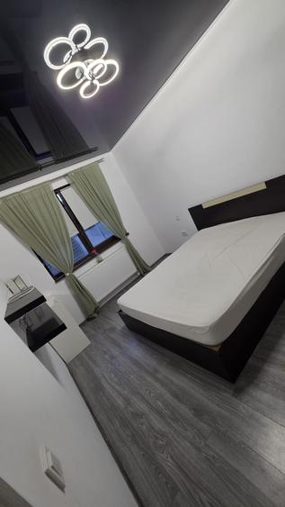 Apartament cu 2 camere decomandat în Olteni