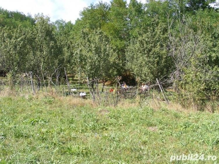 Teren de 2070 mp, în Vârfuri
