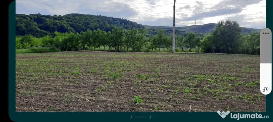 Teren de 2900 mp, în Fizeșu Gherlii