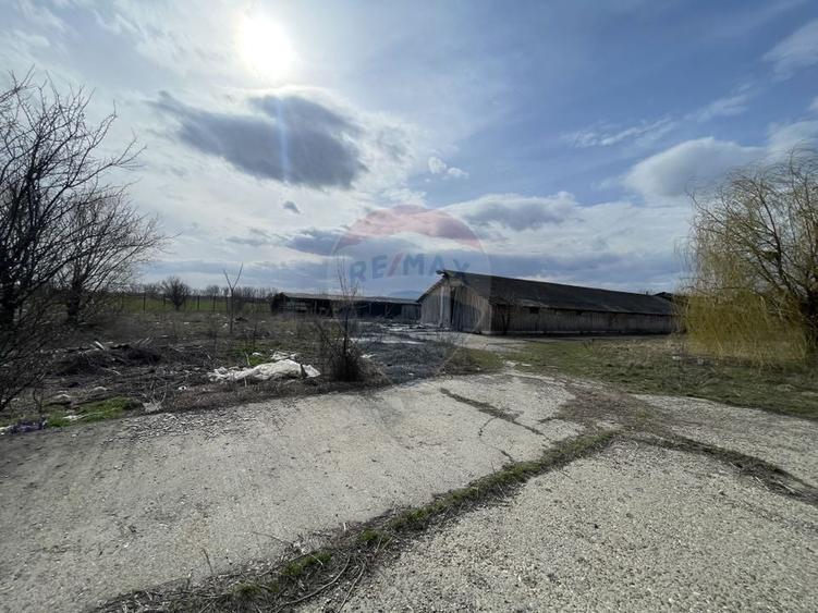 Teren Construcții intravilan de 73351 mp, în Sud