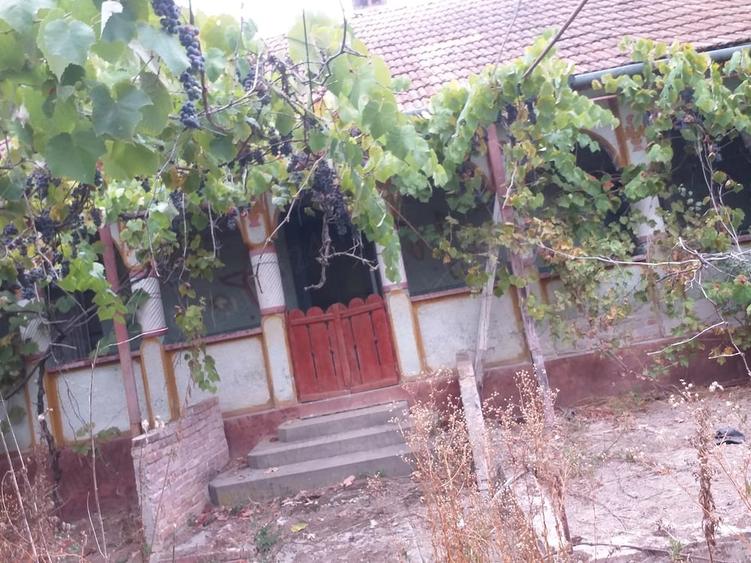 Casă cu 3 camere cu Teren 3070 Mp în Sacoșu Turcesc