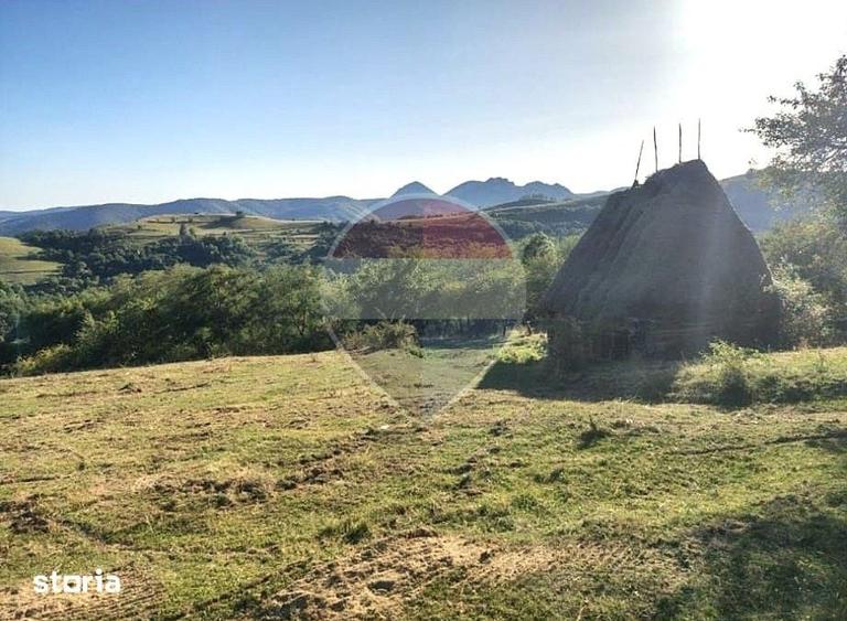 Teren de 18600 mp, în Mogoș