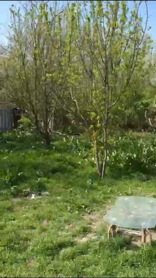 Casă individuală cu 4 camere cu Teren 965 Mp în Frumușani