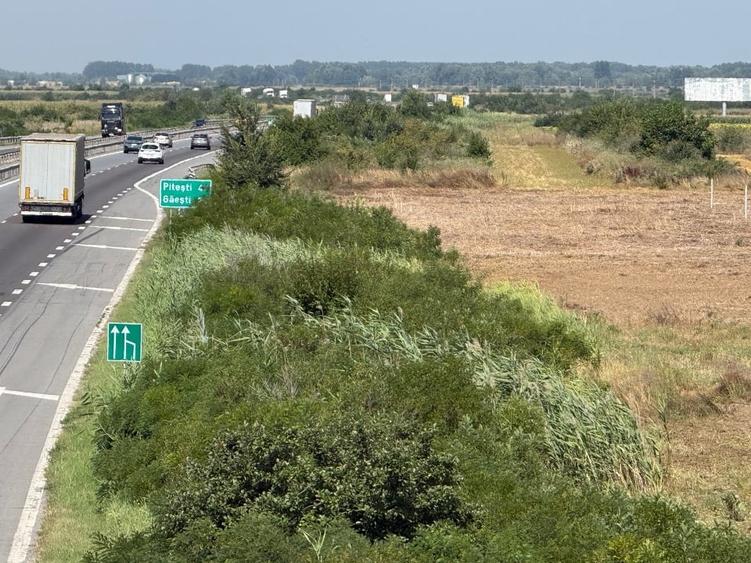 Teren agricol extravilan de 30000 mp, în Uliești