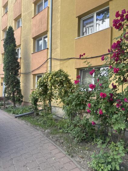 Apartament 3 camere George enescu - 2