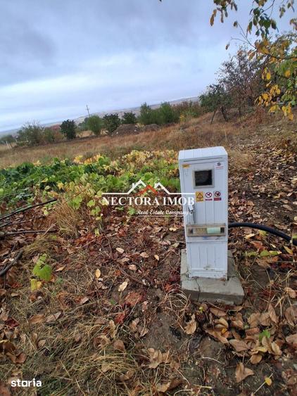 Teren de 676 mp, în Paleu