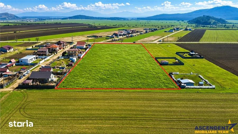 FILM! 700 mp teren intravilan, recomandat constructie casa investitie, - 4