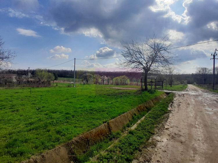 Teren Construcții intravilan de 3400 mp, în Buturugeni