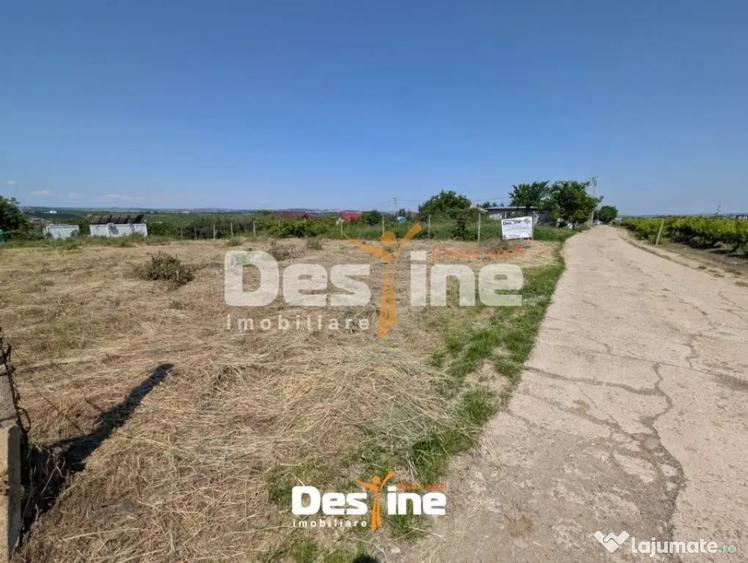 Teren în Bârnova