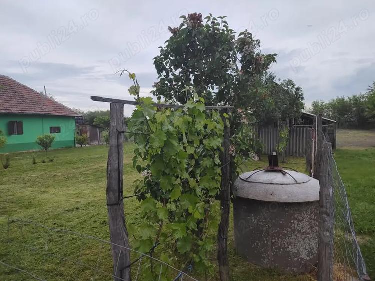 Teren de 1900 mp, în Rovinița Mare