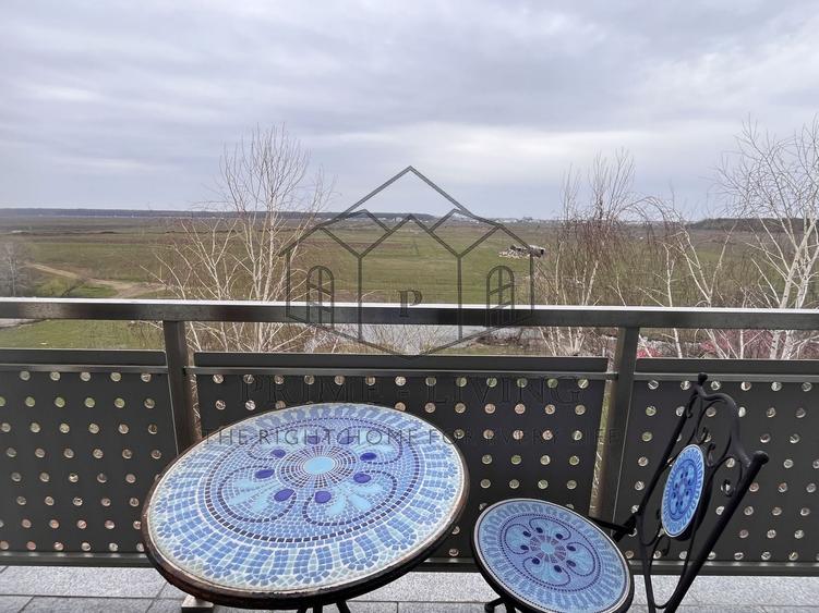 PENTHOUSE SUPERB LA INCHIRIERE IN ZONA PIPERA/IANCU NICOLAE - 16