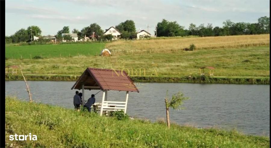 Teren de 130000 mp, în Iepurești
