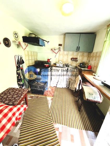 Casă cu 7 camere cu Teren 1079 Mp în Viișoara