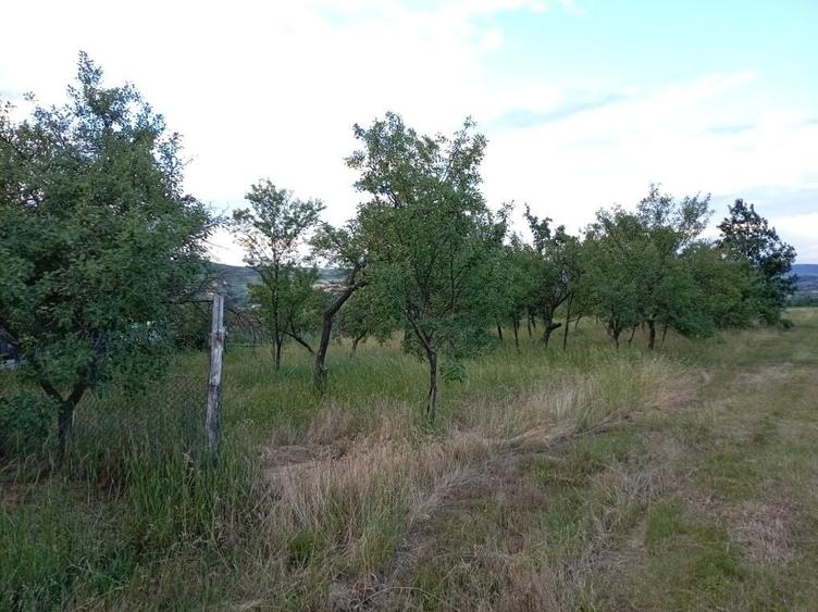 Casă cu 4 camere în Răbăgani