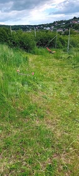 Teren agricol extravilan de 490 mp, în Bucium