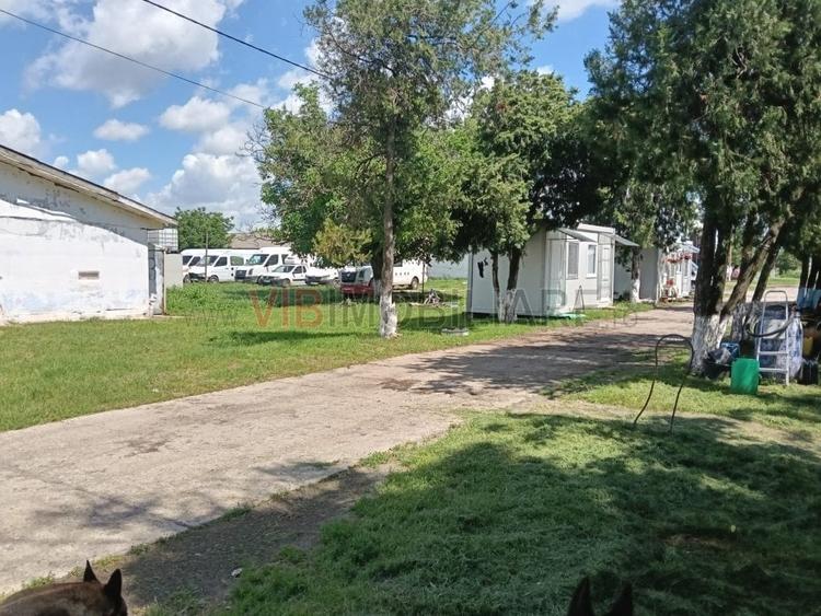 Proprietate specială, de 13,000 mp, în Urziceni