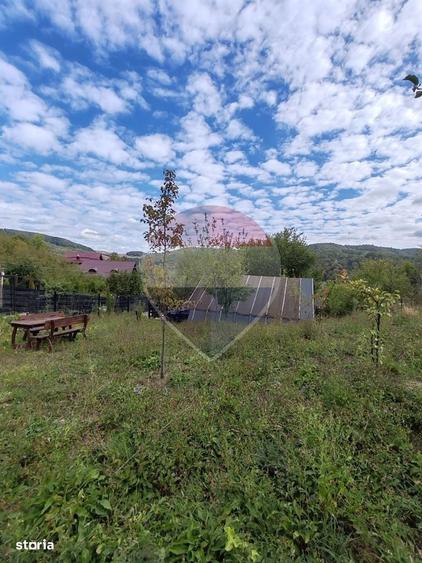VANZARE Teren intravilan in Provita de Jos - 10