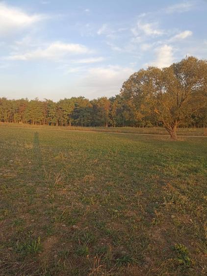 Teren agricol extravilan de 1500 mp, în Arcuș