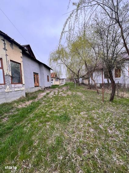 Casă cu 4 camere cu Teren 2244 Mp în Oveselu