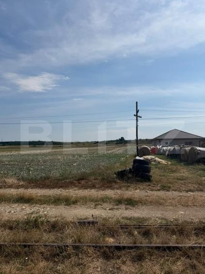 Teren Construcții intravilan de 5100 mp, în Mihai Viteazu