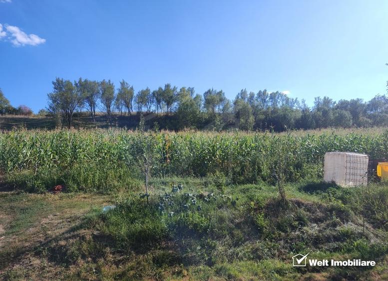 Teren Construcții intravilan de 2976 mp, în Țaga
