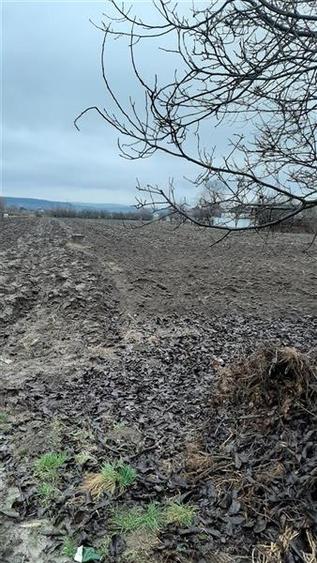 Teren Construcții intravilan de 11200 mp, în Nazna