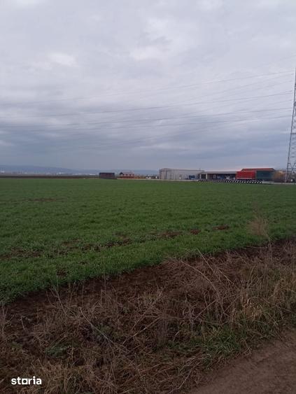 Teren de 3958 mp, în Central
