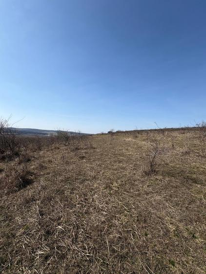 Teren Construcții intravilan de 5800 mp, în Crișeni