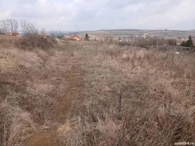 Vand teren intravilan Petrestii de Jos - 10
