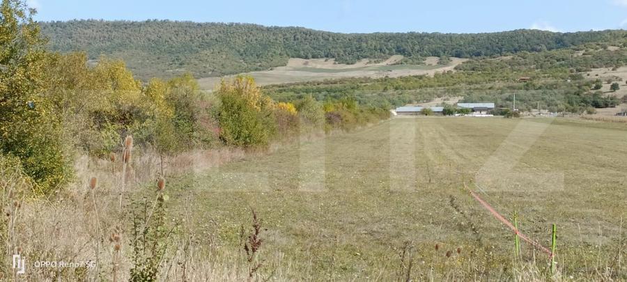Teren Construcții intravilan de 4900 mp, în Exterior Sud