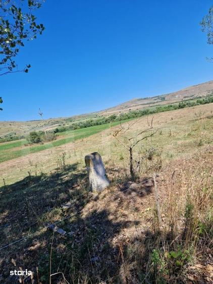Teren de 5008 mp, în Iara