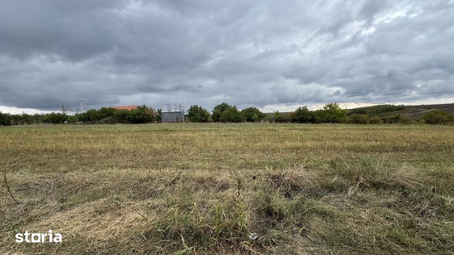 Teren de 1400 mp, în Comana