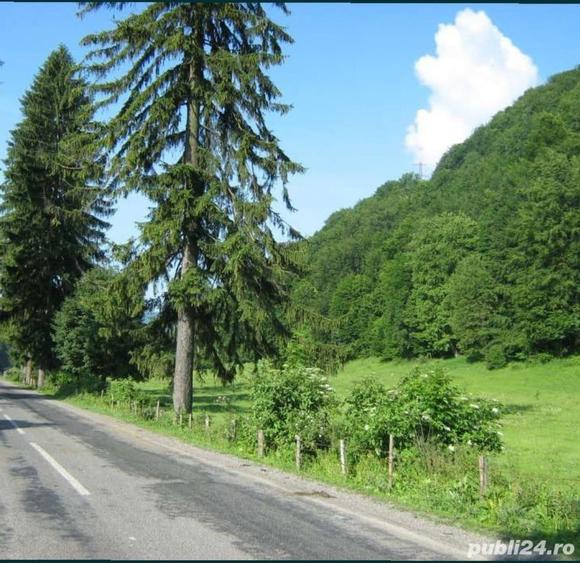 Teren de 1123 mp, în Vulcana-Pandele