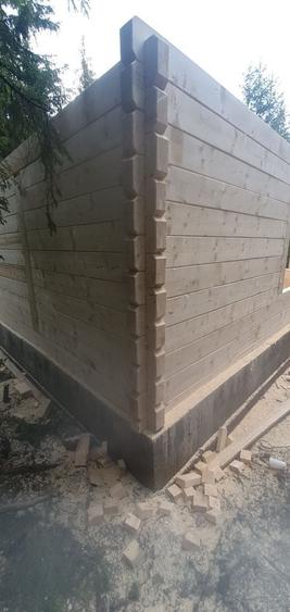 Casă cu 3 camere în Muntele Băișorii