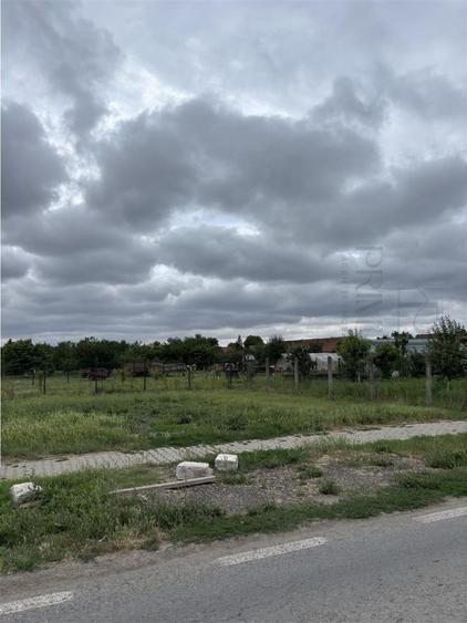 Teren- MOSNITA VECHE- TOATE UTIL. strada ASFALTATA cu un f - 2