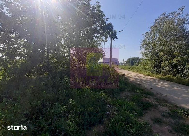 Teren de 5000 mp, în Copăceni