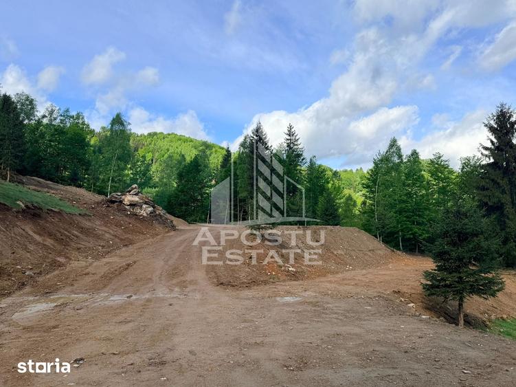 Teren de 18000 mp, în Central
