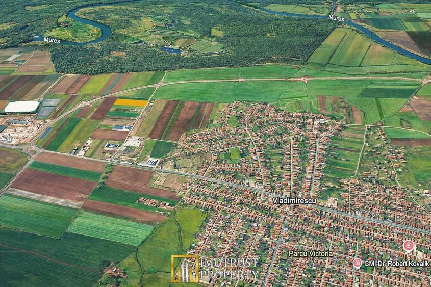 Teren agricol extravilan de 20000 mp, în Vladimirescu