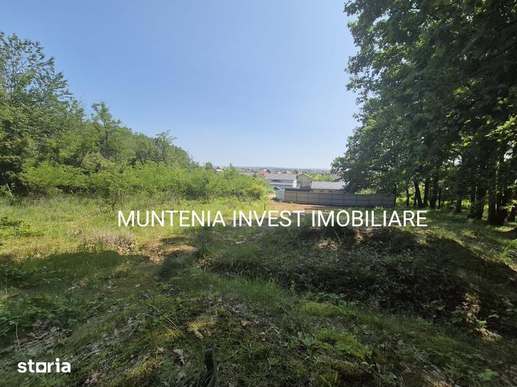 Teren de 1059 mp, în Moșoaia