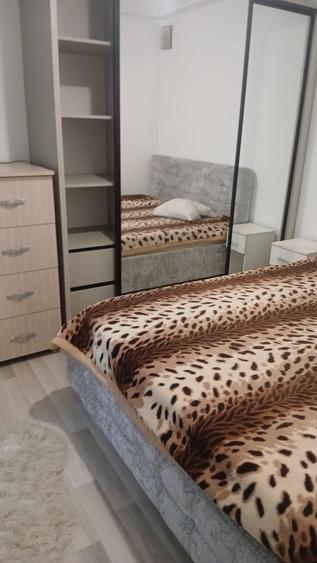 Apartament de Inchiriat Mircea cel Batran. Recent Renovat - 10