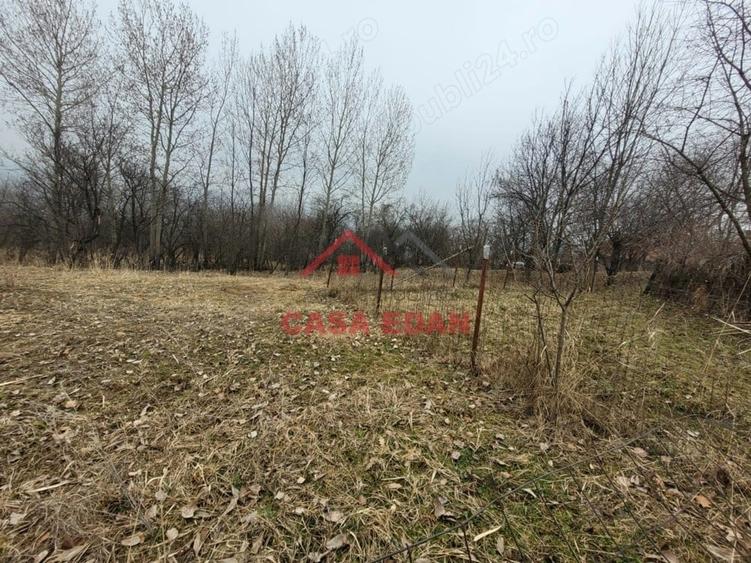 Casă cu Teren 1358 Mp în Gura Beliei