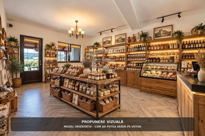Spațiu comercial, de 350 mp, în Sud-Vest