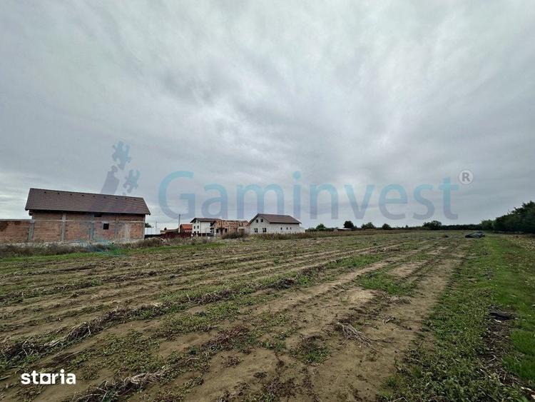 Teren de 11000 mp, în Biharia