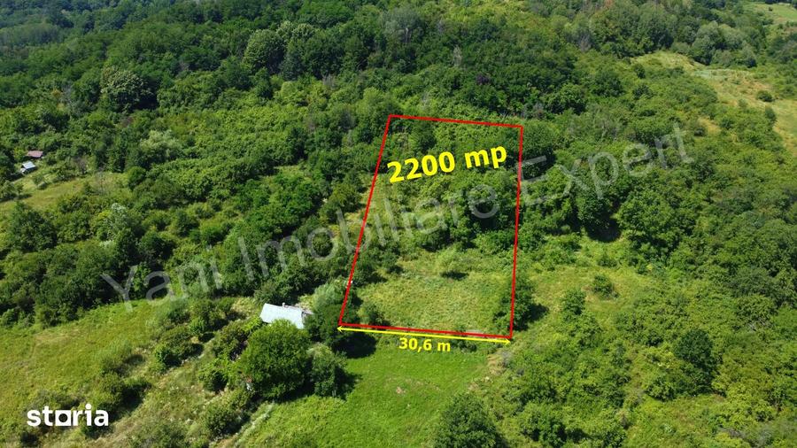 Teren de 2200 mp, în Ciofrângeni