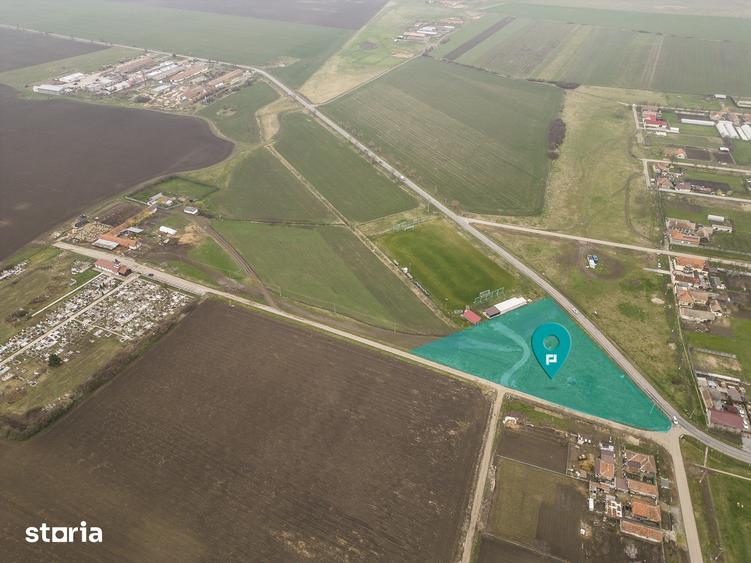Teren de 7000 mp, în Sântana