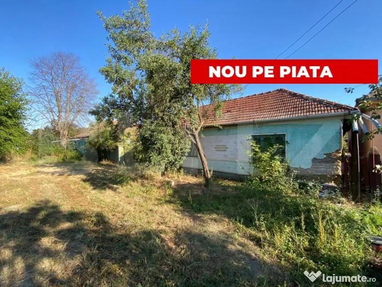 Casa cu teren 2104mp front de 20m Dragsina Timis - 1