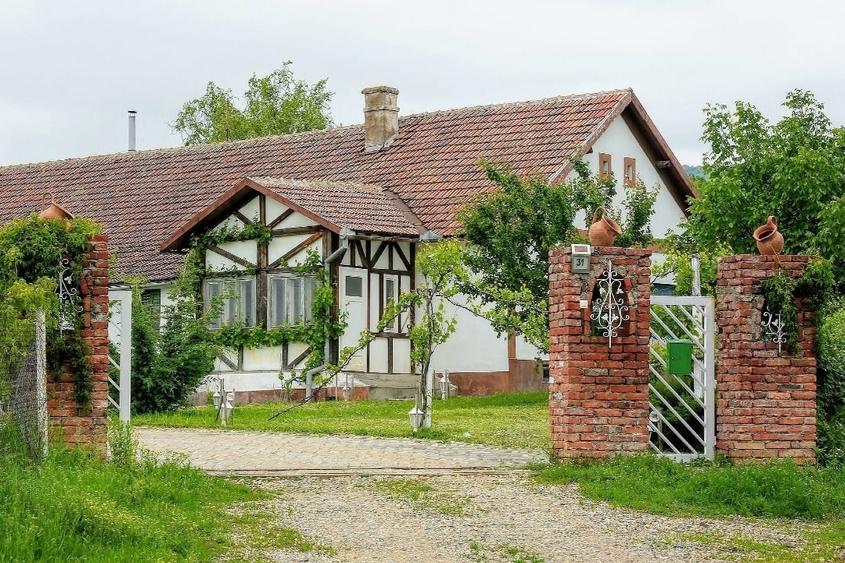 Proprietate specială, de 1,000 mp, în Ghioroc